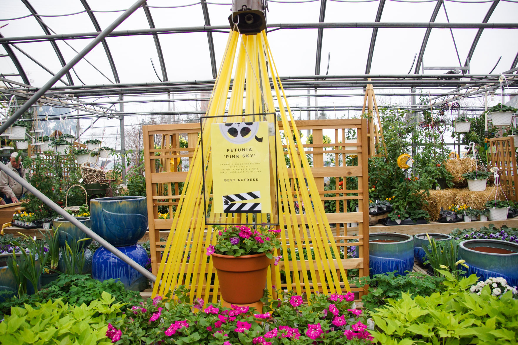 Va Va Bloom Festival